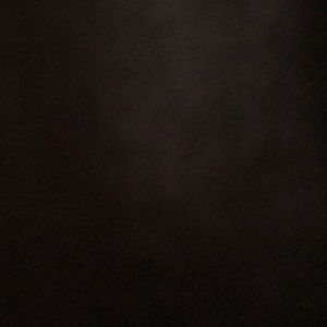 Meet your Posher, Kayden